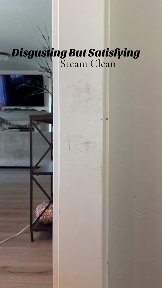 Why are steam cleaning videos so satisfying to watch #cleanwithme #st...