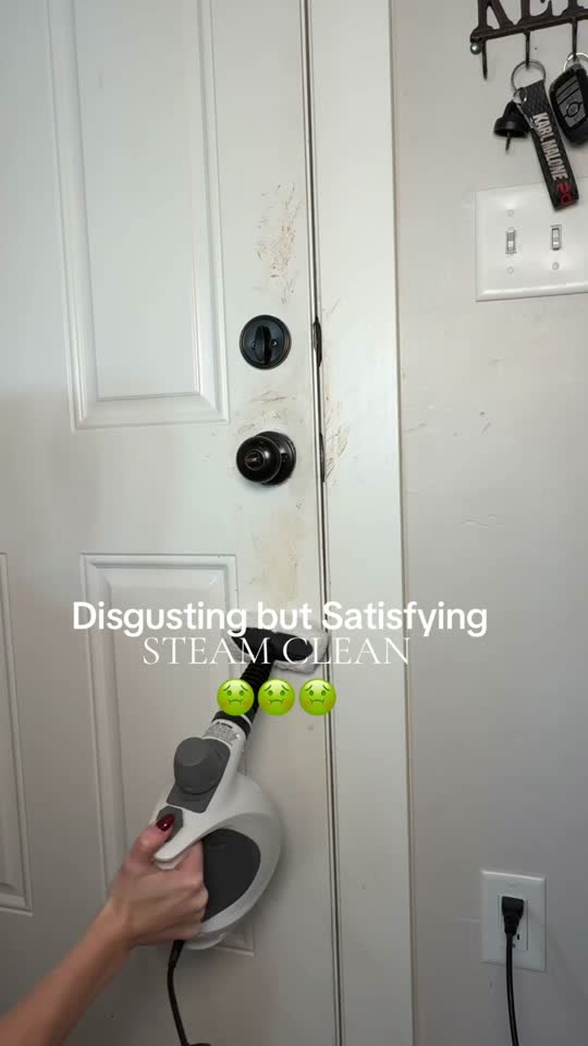 Handheld Steam Cleaner on TikTok