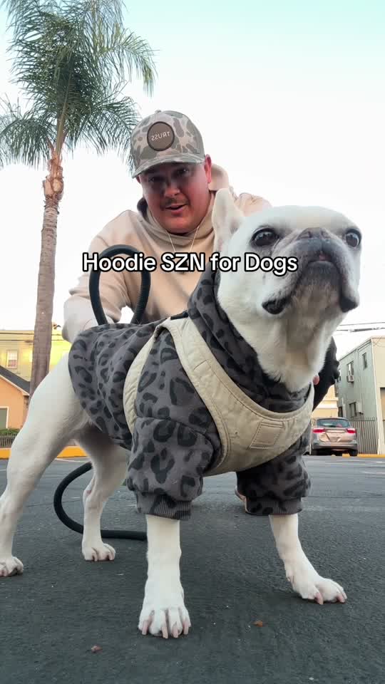 Dog Hoodie on TikTok