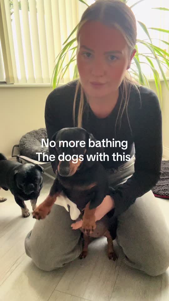 This is so much easier to clean my dogs #petglovewipes #doggrooming #...
