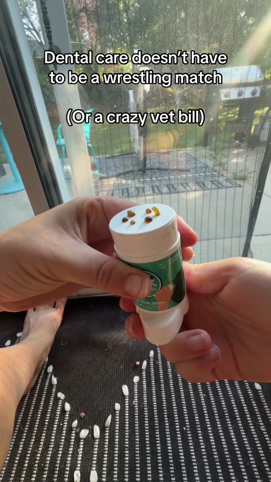 Twist. Lick. And finally clean teeth 🦷✨ dental care doesn’t have to b...